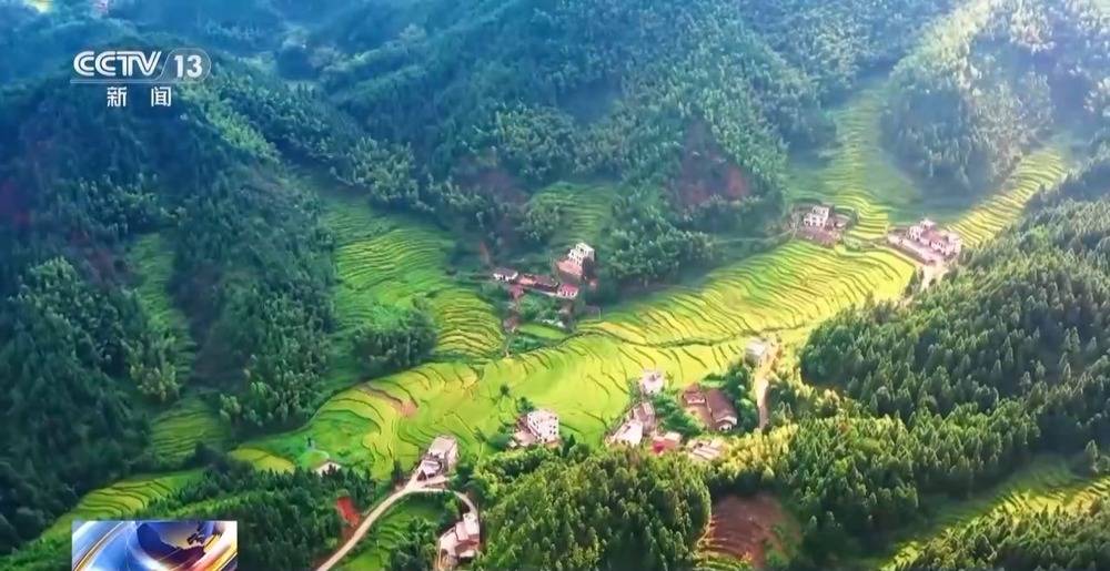 一線見聞丨1小時→12分鐘 低空物流加速深山鮮貨走向餐桌