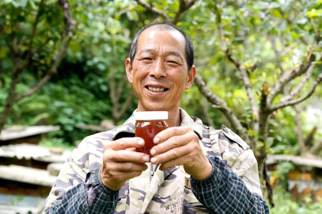 留壩蜂蜜又有新續集了？