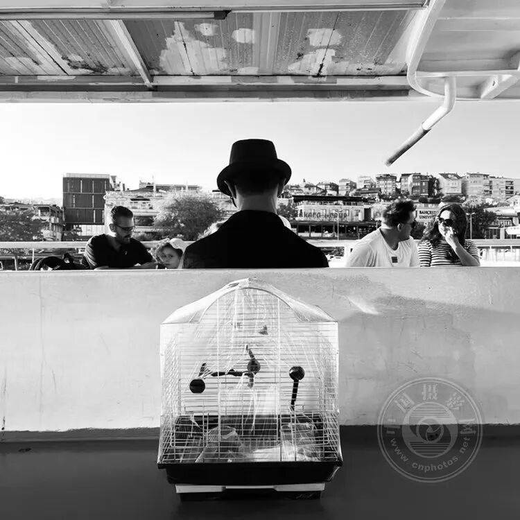 揭曉 | 2025年土耳其移動攝影獎（旅遊與街頭組）獲獎公佈